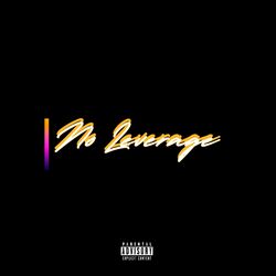 Cover of No Leverage