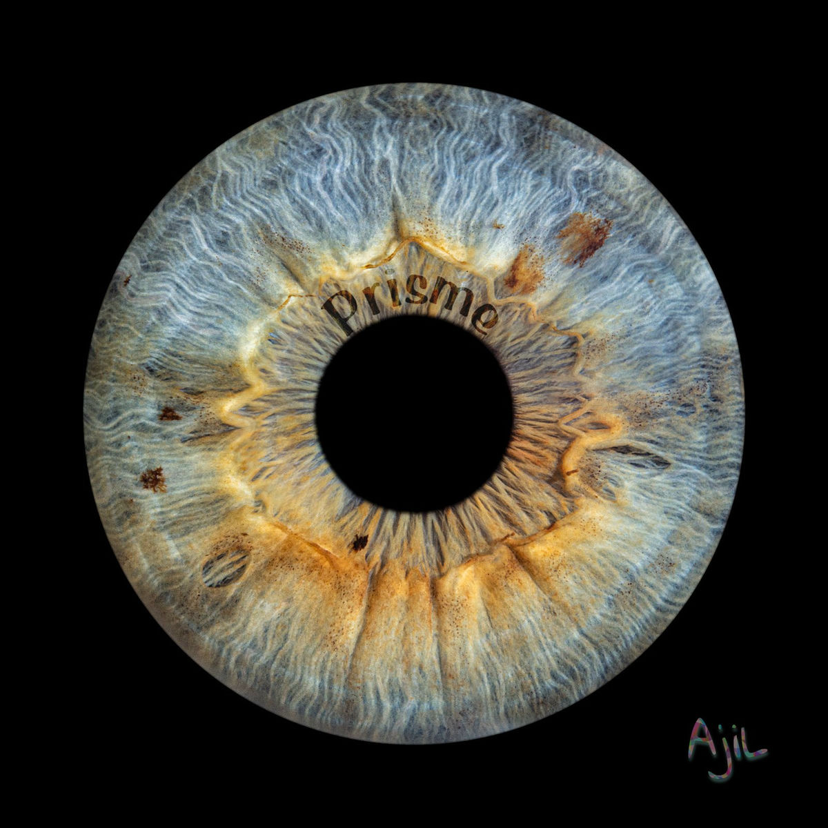 Album cover of Prisme
