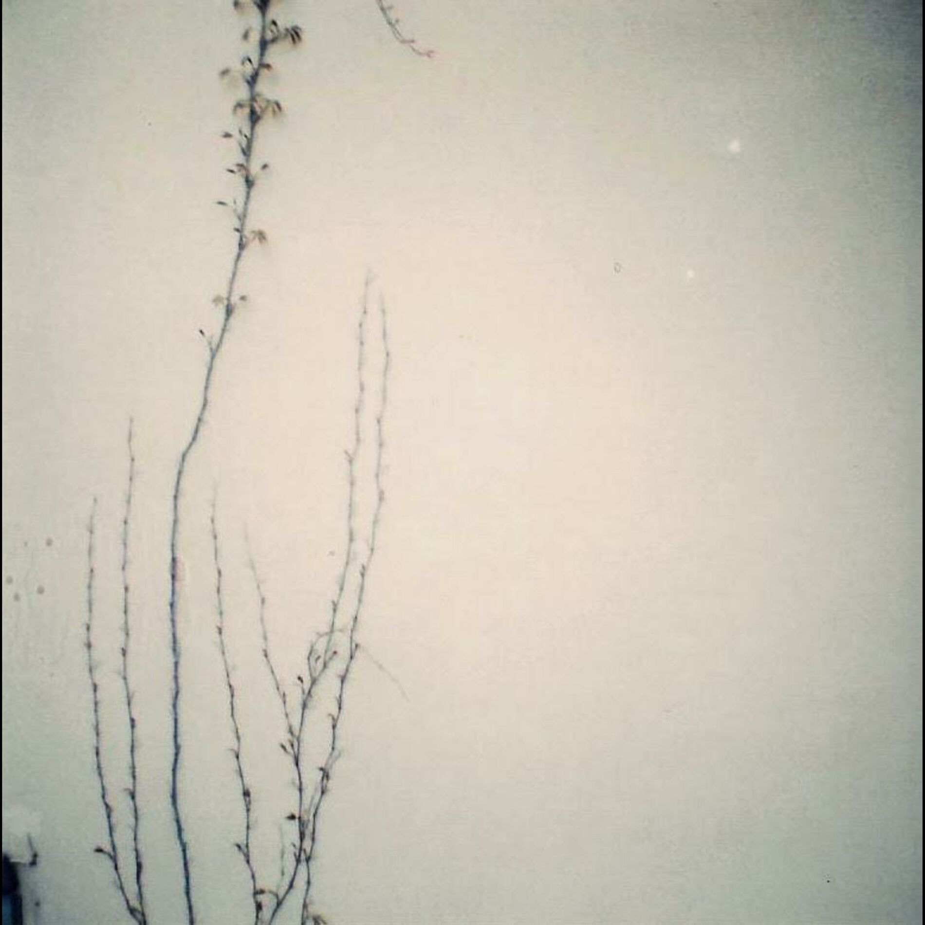 Album cover of Cobalt