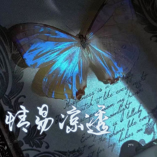 情易凉透