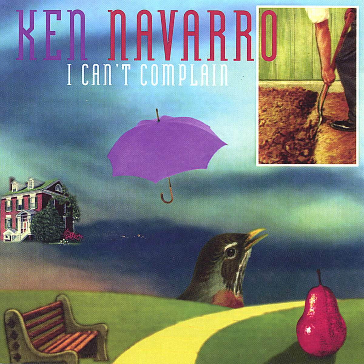 Album cover of I Can't Complain