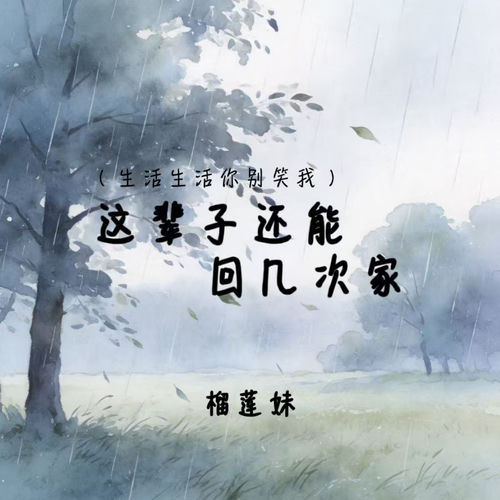 这辈子还能回几次家 (生活生活你别笑我)