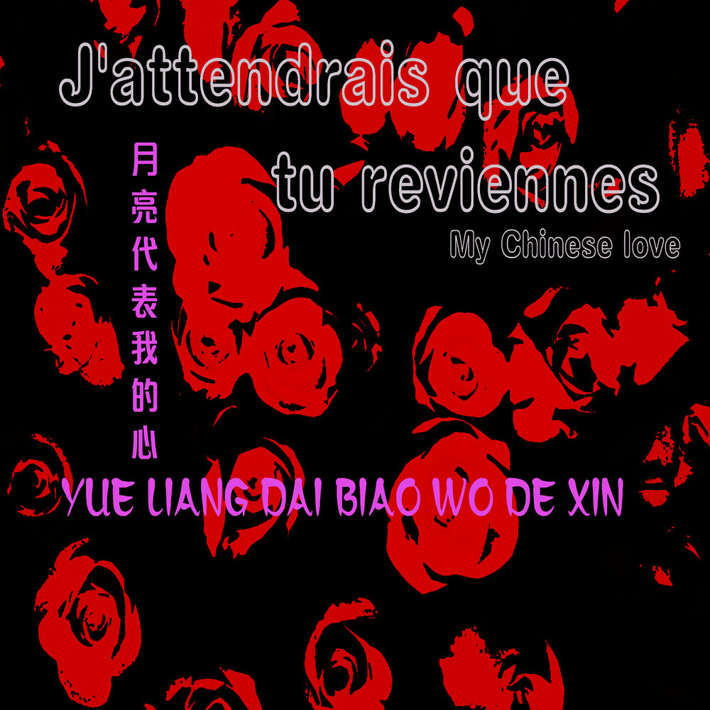 Picture of Yue Liang Dai Biao Wo De Xin 月亮代表我的心