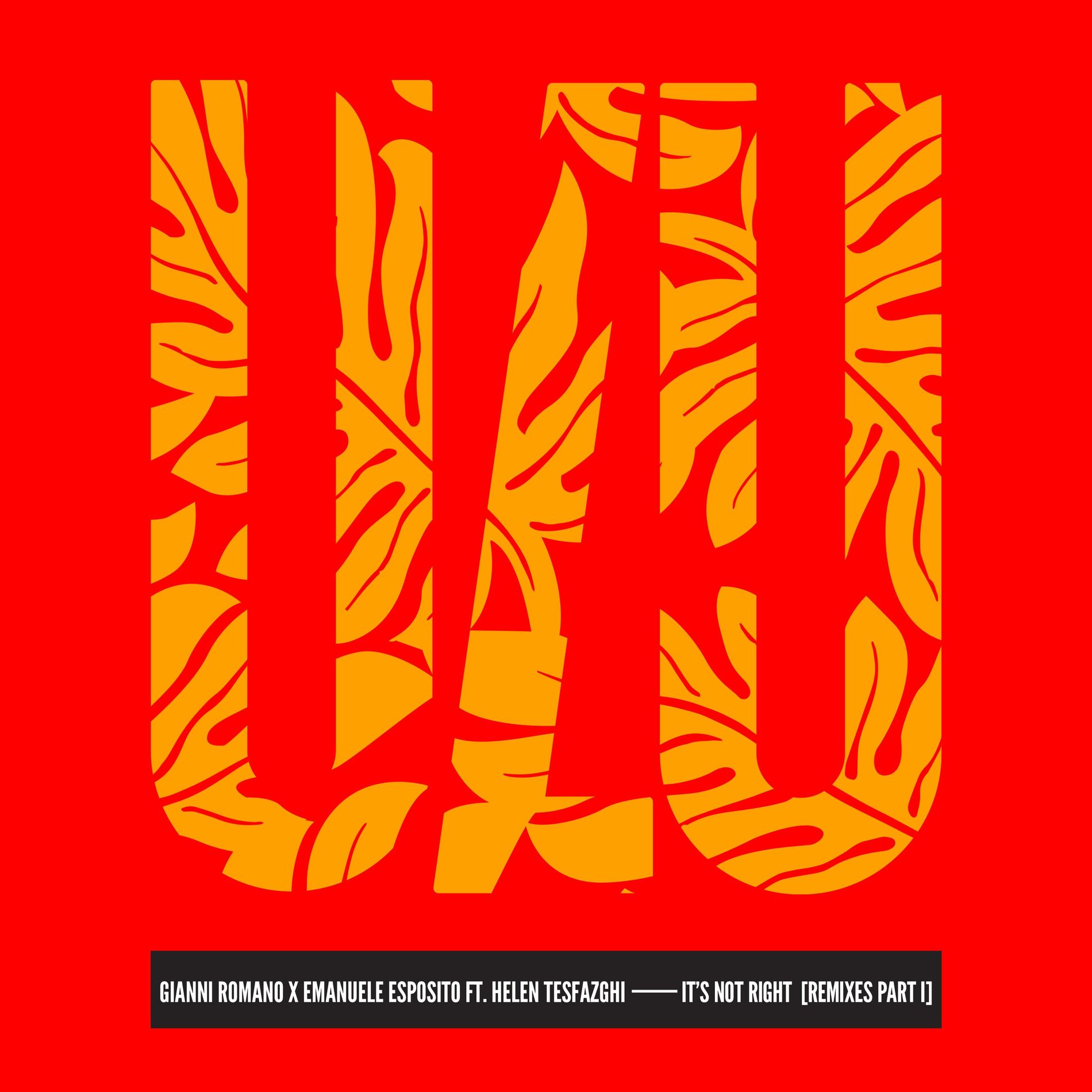 Album cover of It's Not Right (Remixes Part I)