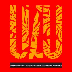 Cover of It's Not Right (Remixes Part I)