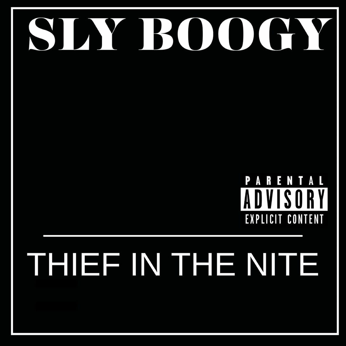 Album cover of Thief in the Nite