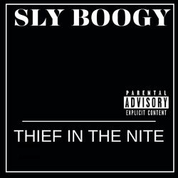 Cover of Thief in the Nite