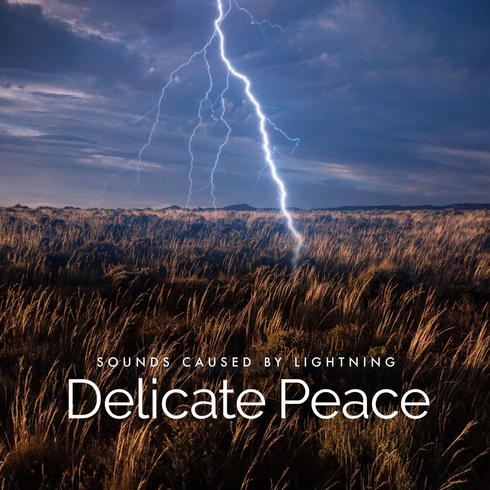 Picture of Delicate Peace
