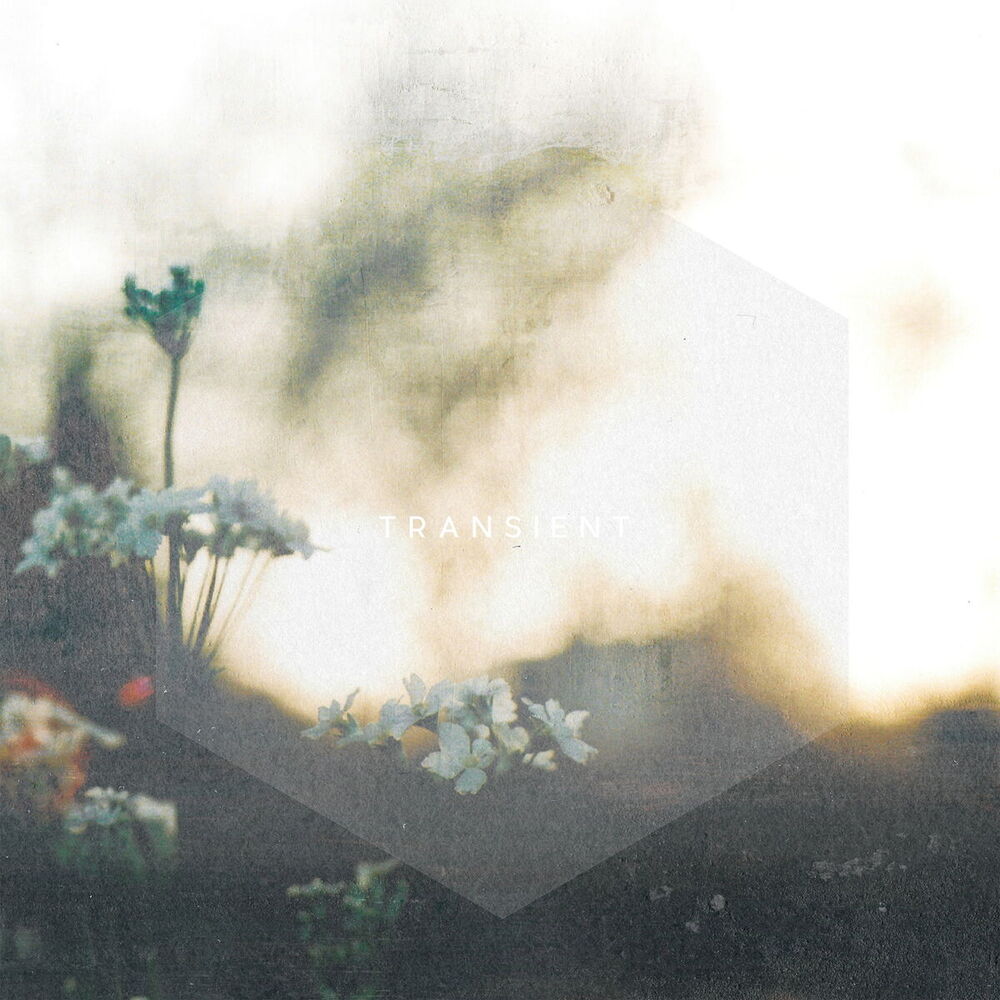 Picture of Transient