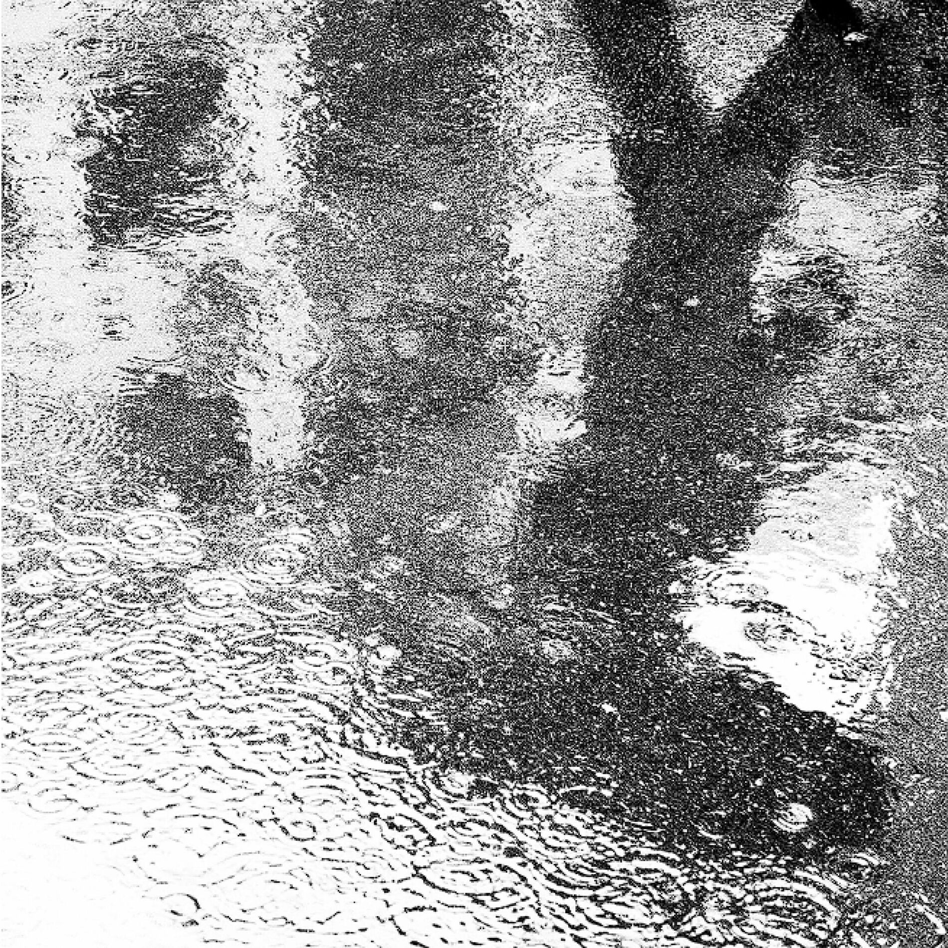 Album cover of Rain on Me