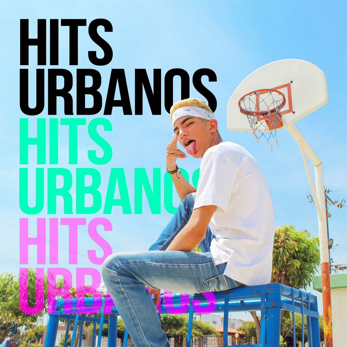 Album cover of Hits Urbanos