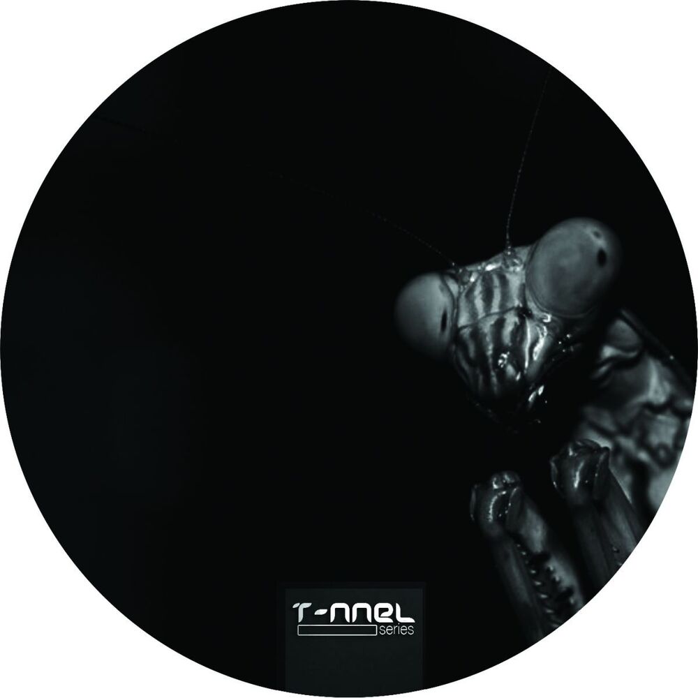 Picture of Stasty's Madnes (Original Mix)