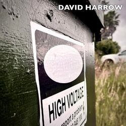 Cover of High Voltage Dubs