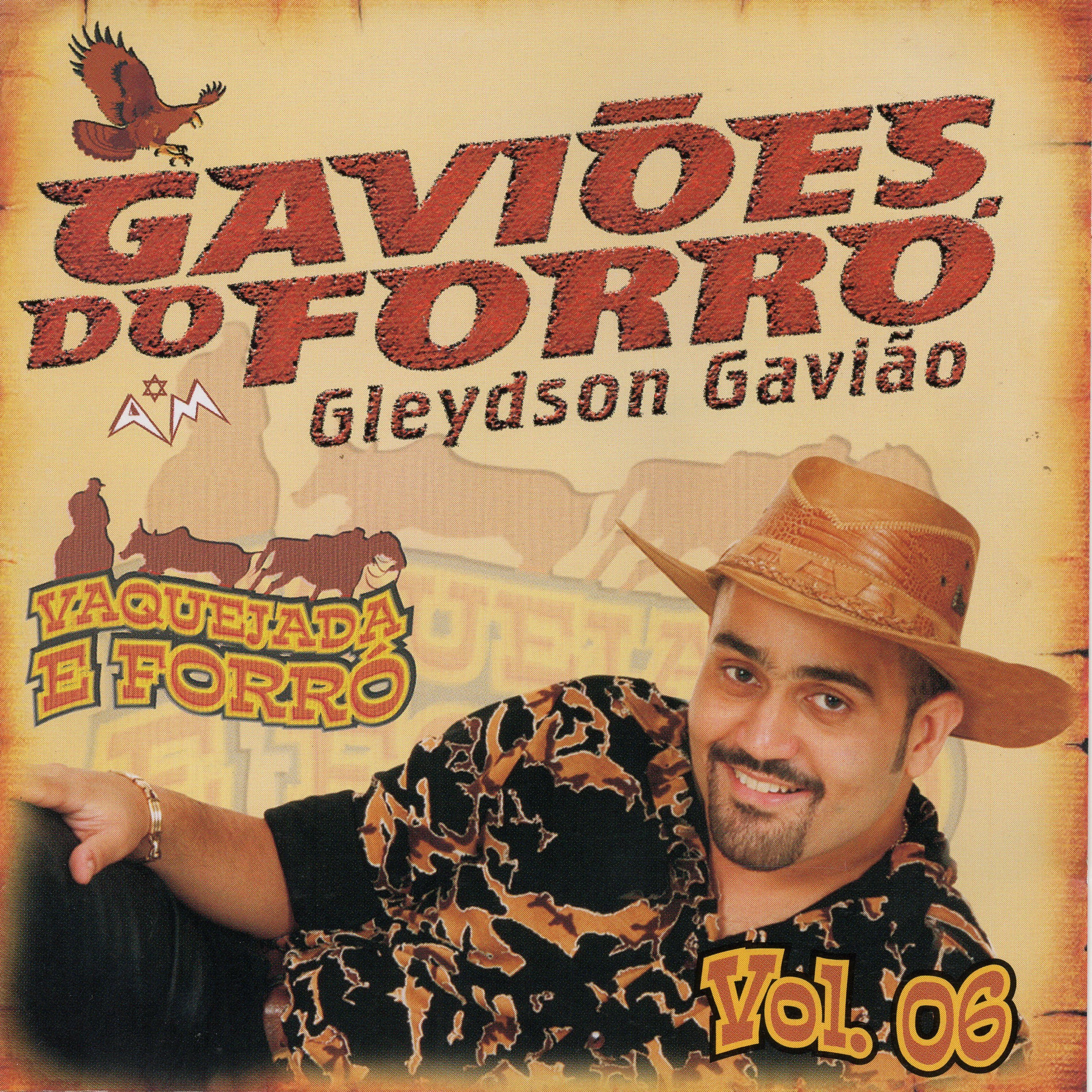Album cover of Vaquejada e Forró, Vol. 6
