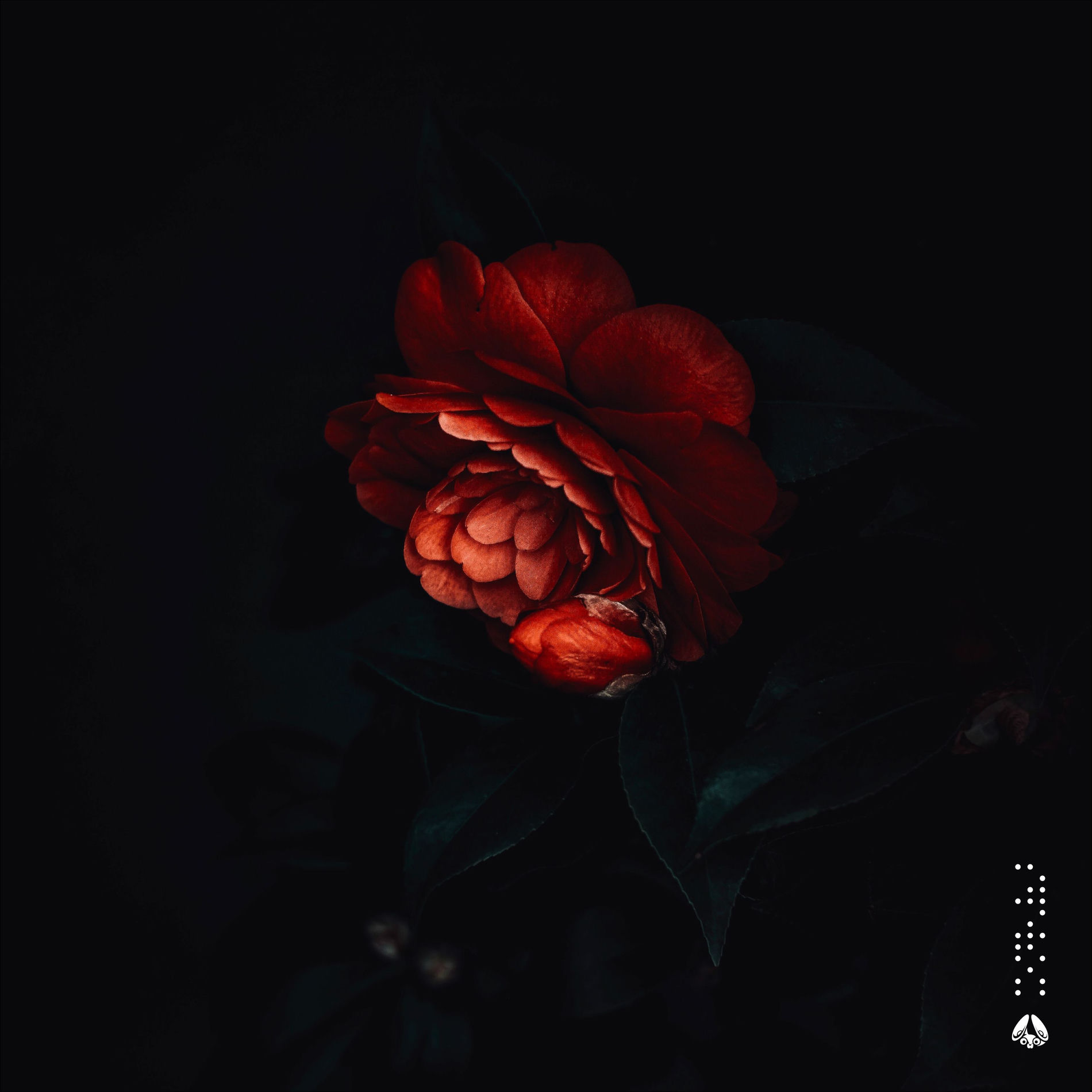 Album cover of Aspire