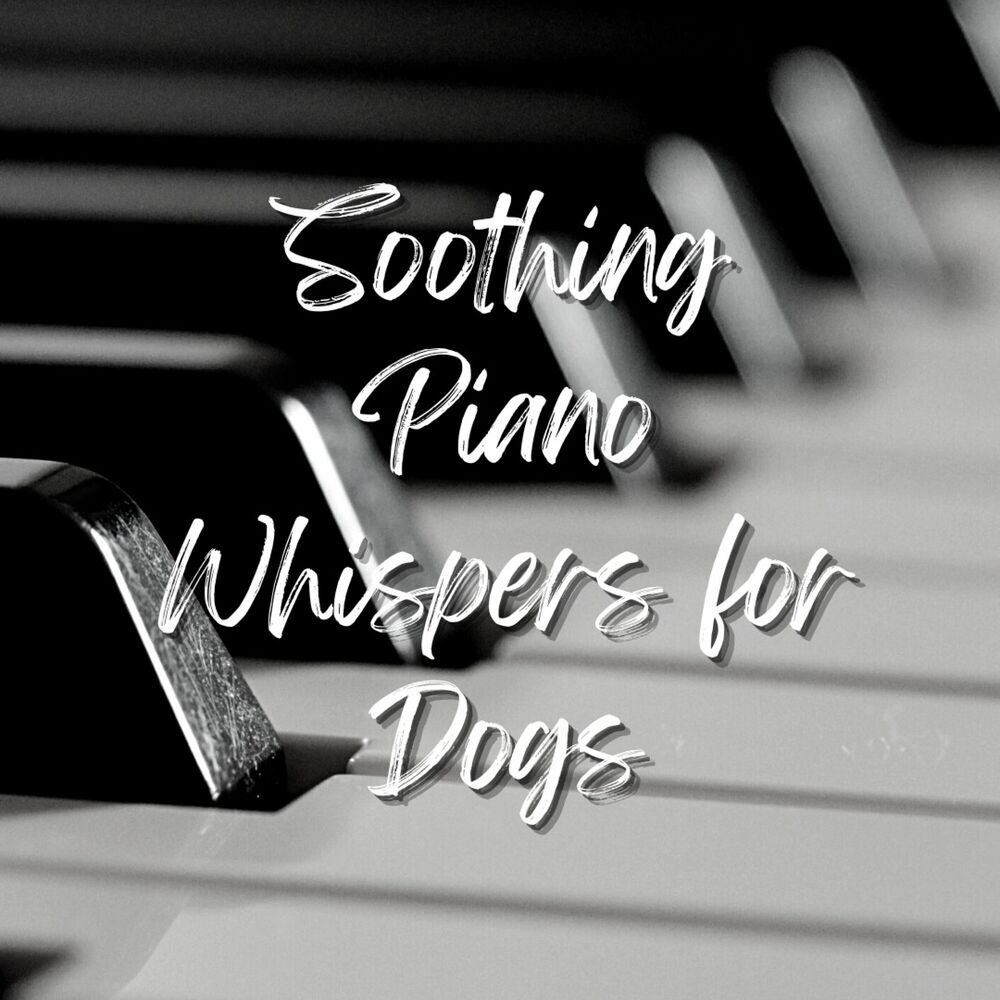 Picture of Soothing Piano Whispers for Dogs