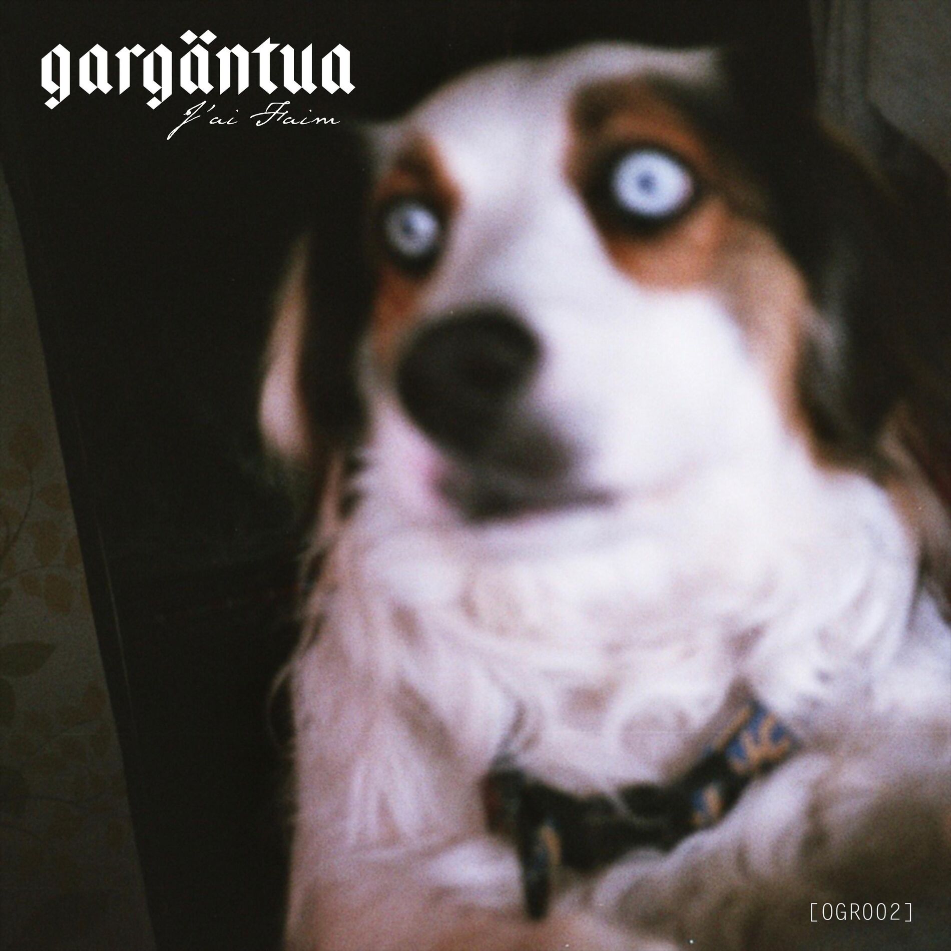 Album cover of J'ai Faim