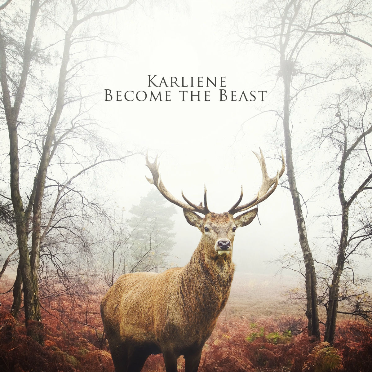 Album cover of Become the Beast