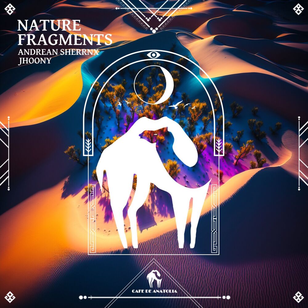 Picture of Nature Fragments