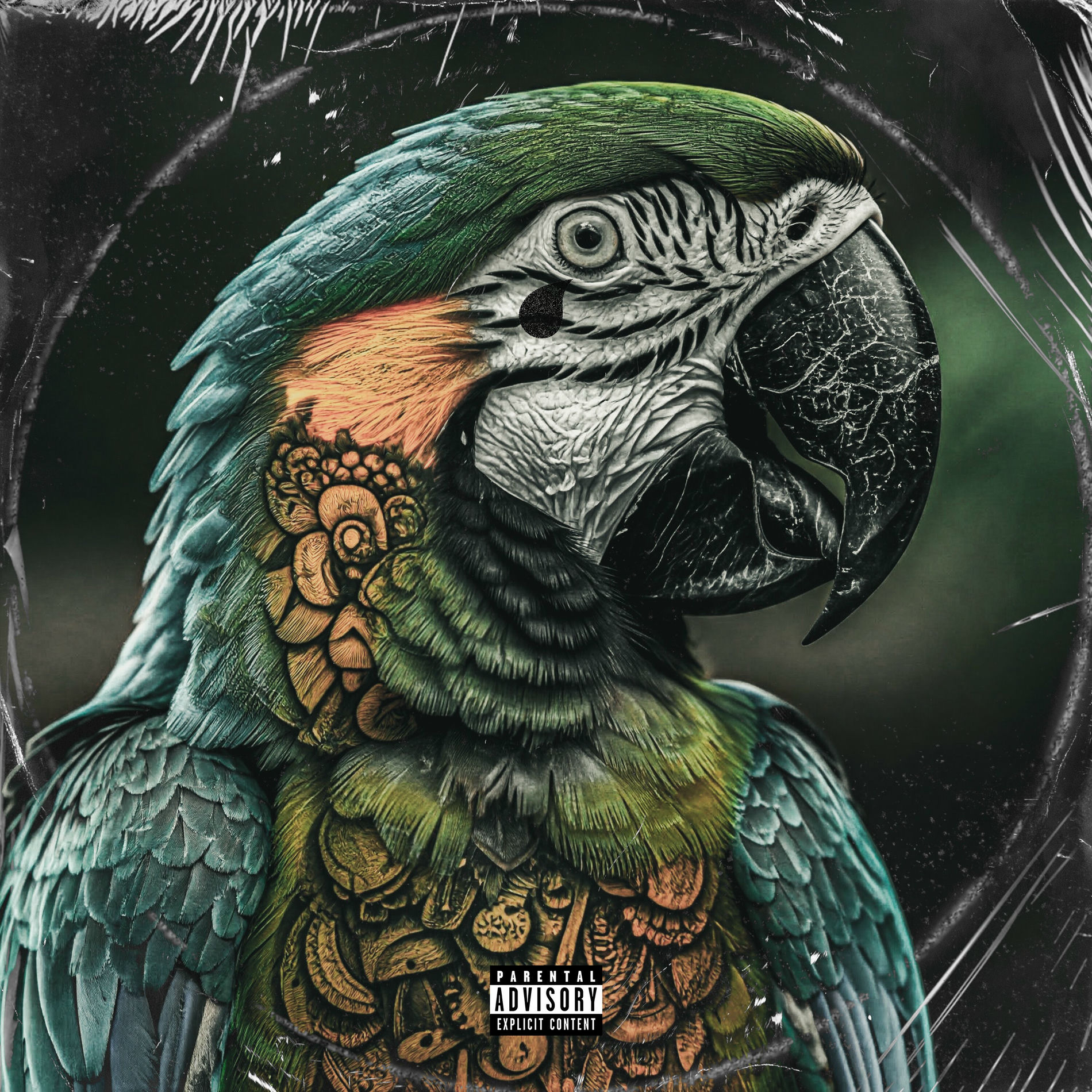 Album cover of Papagaio de Malandro