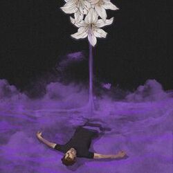Cover of Violets From Lily