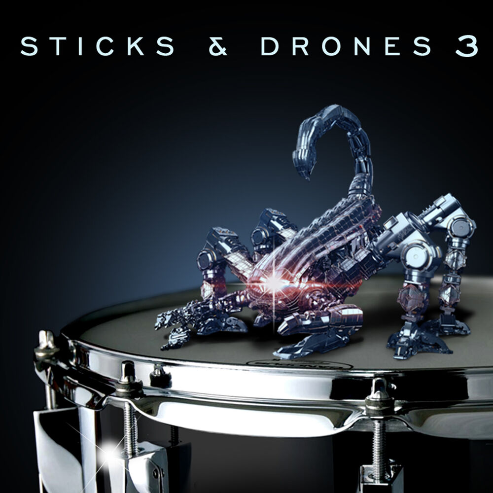 Picture of Sticks & Drones 3