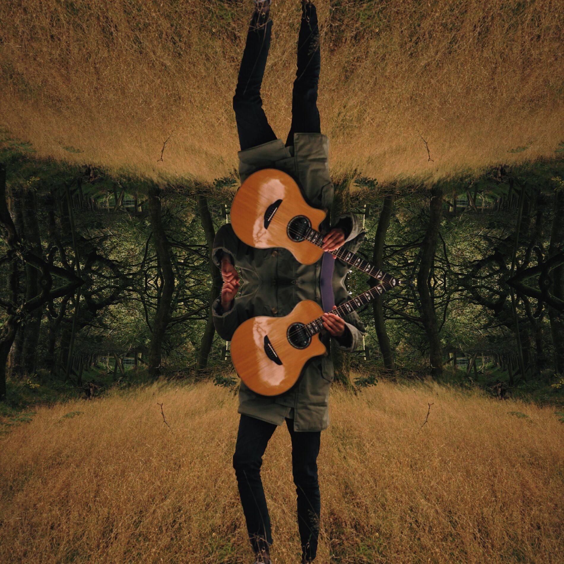 Album cover of Pandemic