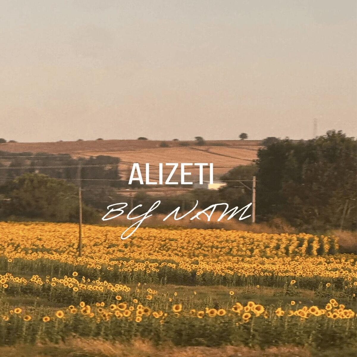 Album cover of Alizeti