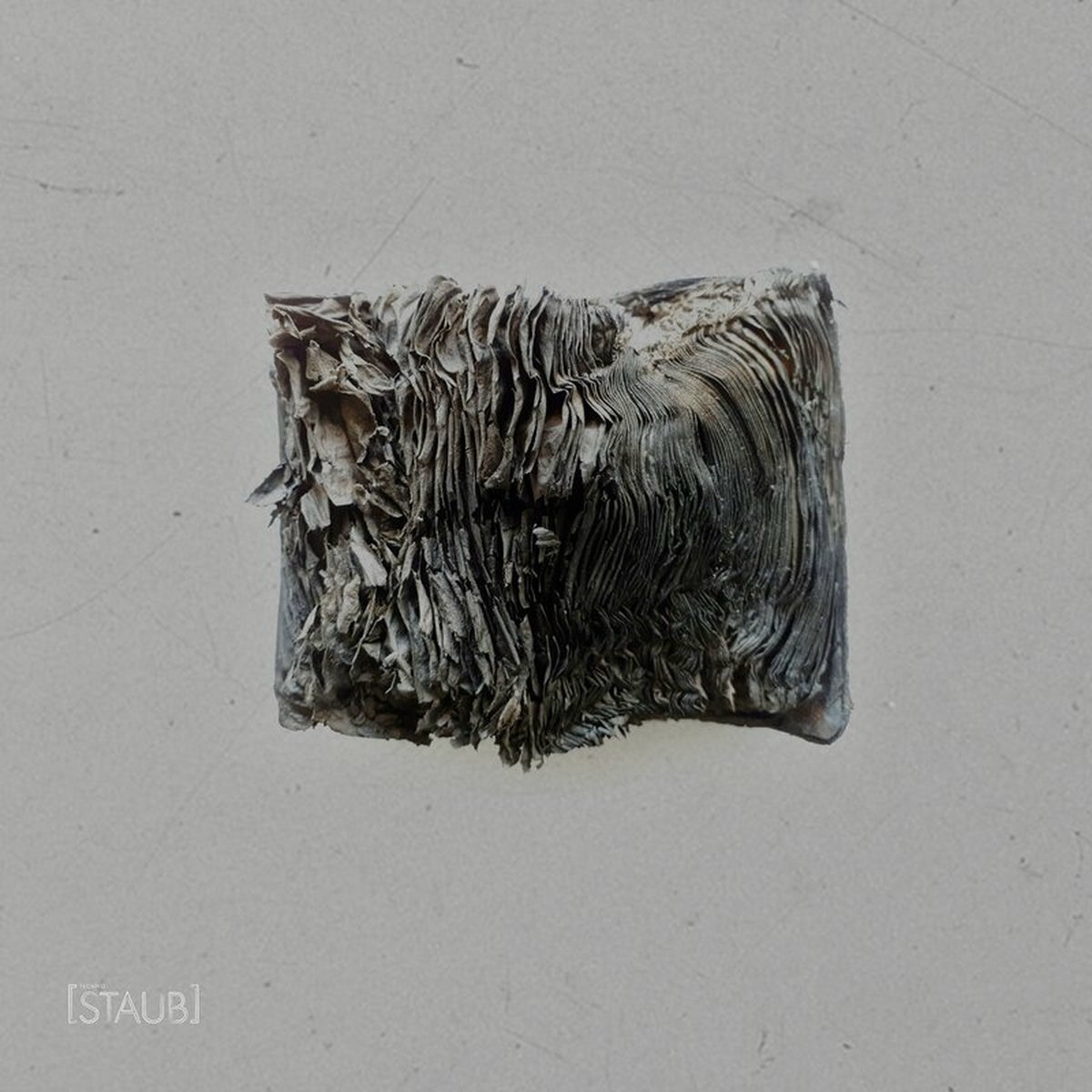 Album cover of STAUB 005