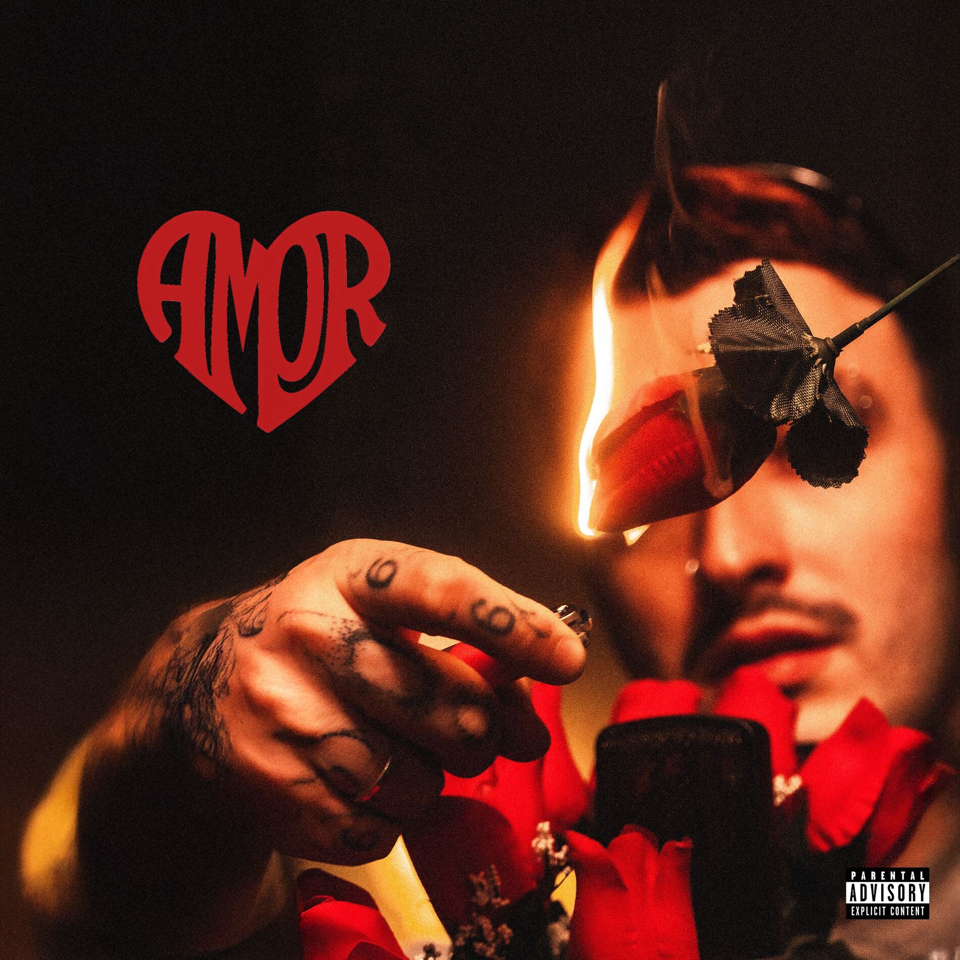 Album cover of Amor
