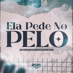 ELA PEDE NO PELO