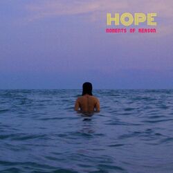 Cover of Moments of Reason