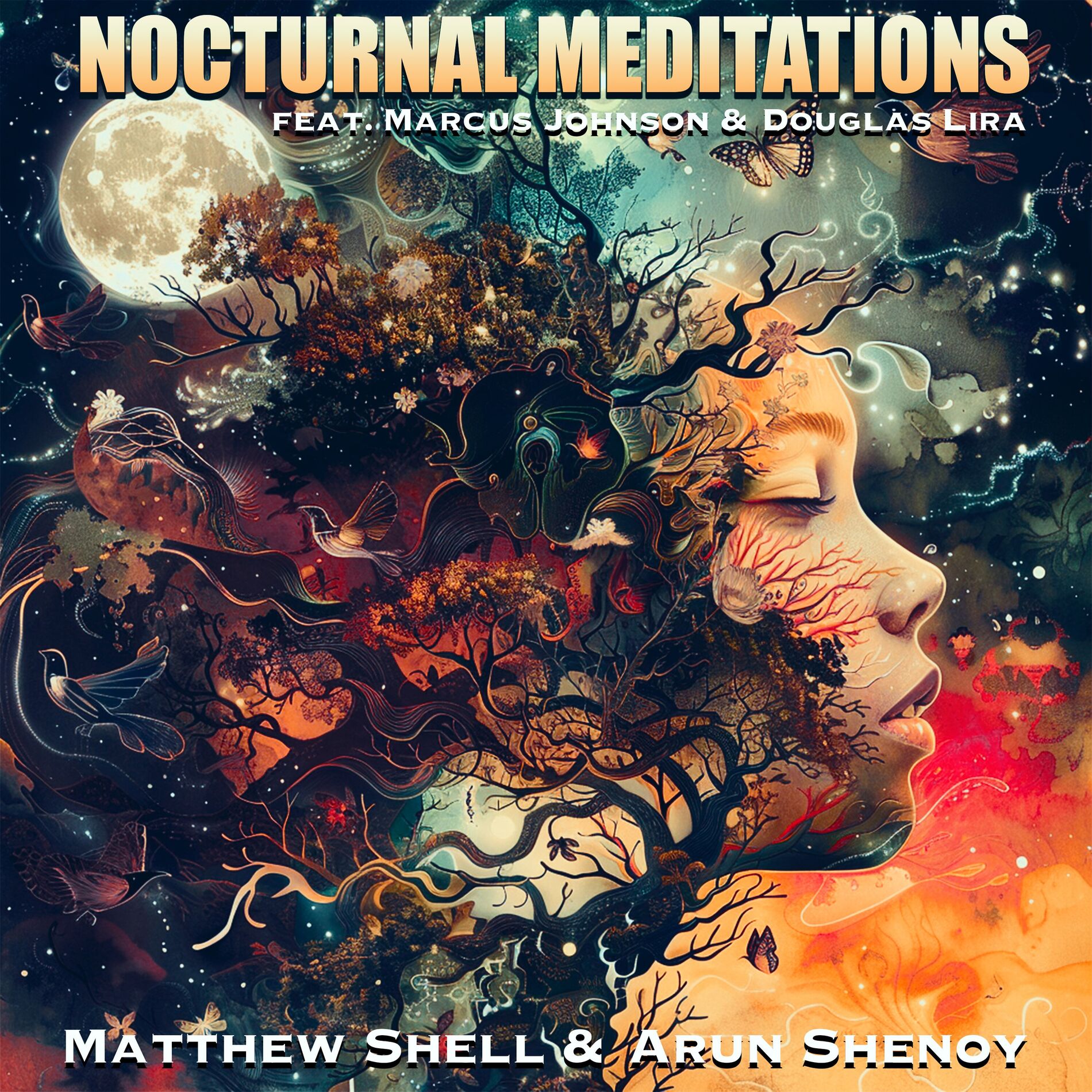 Album cover of Nocturnal Meditations