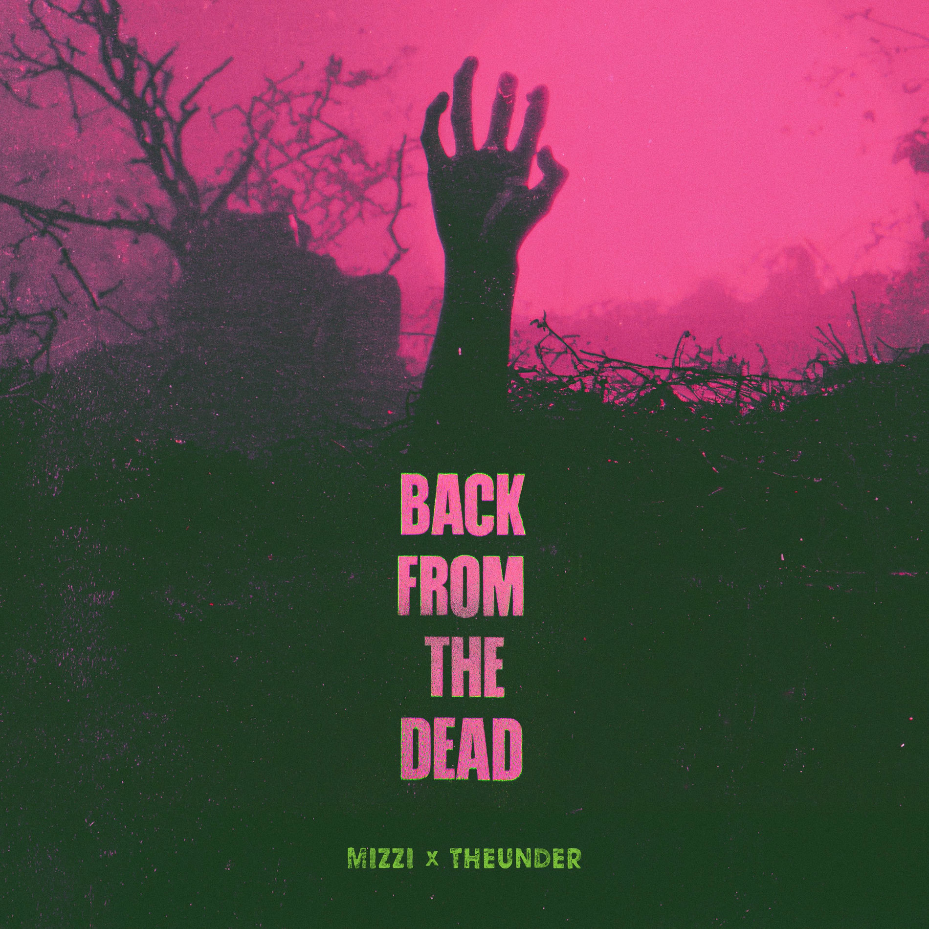 Album cover of Back From The Dead