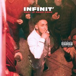 Cover of Tout le faire gang