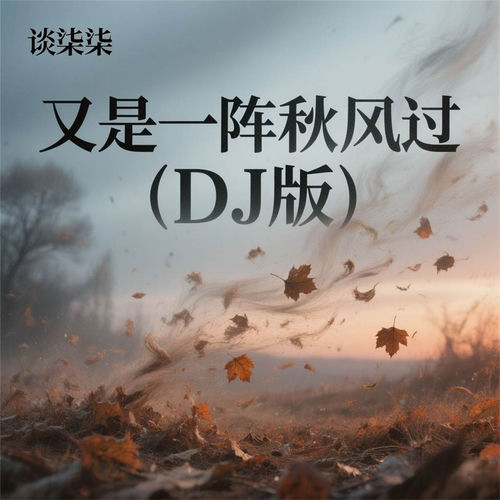 又是一阵秋风过 (DJ版)