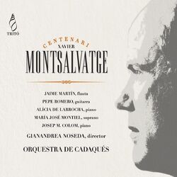 Cover of Homenantge a Montsalvatge