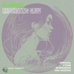 Cover of Resonating Gruv