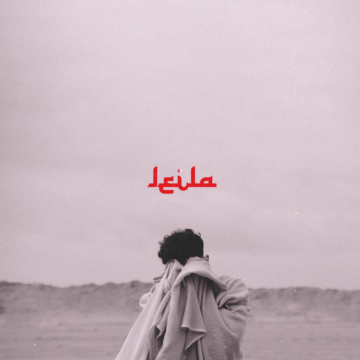 Album cover of Leila