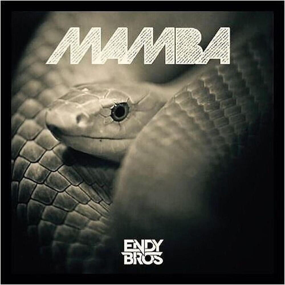 Picture of Mamba