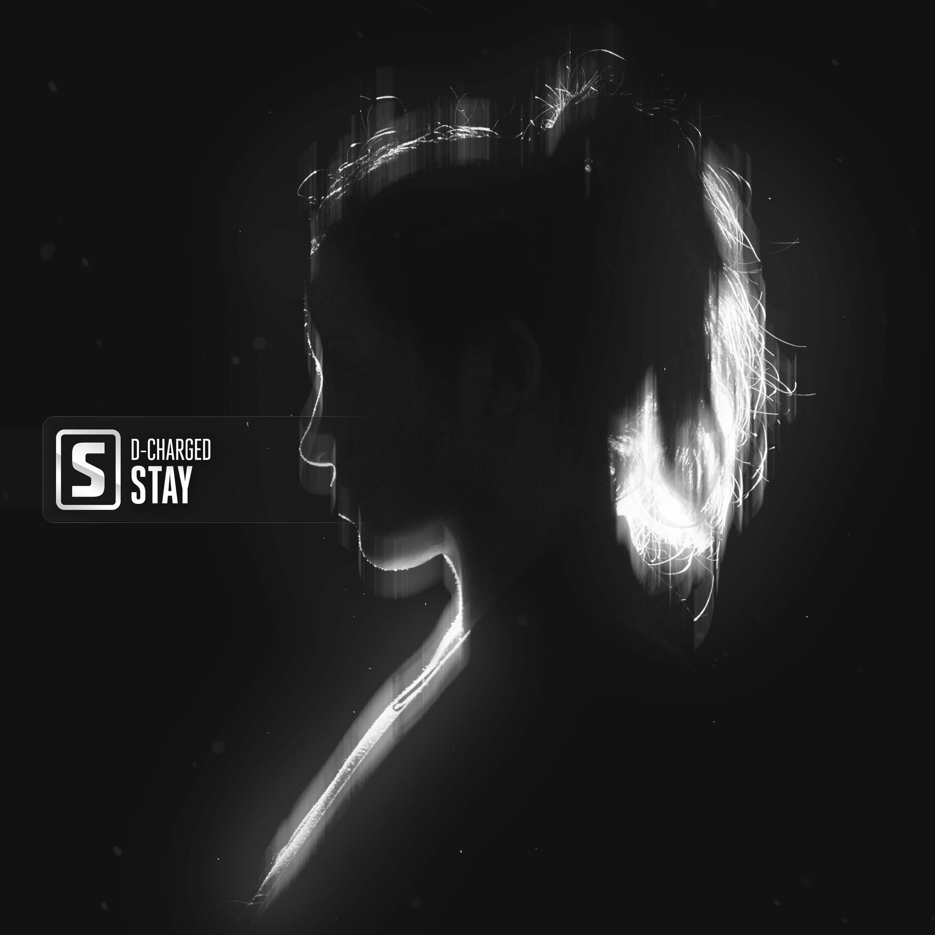 Album cover of Stay