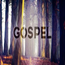 Cover of Christian Gospel