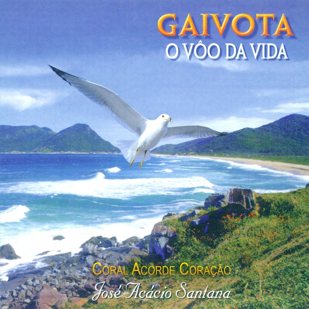 Picture of Gaivota: O Vôo da vida