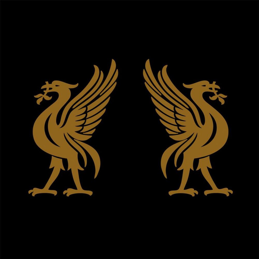 Picture of Liverbirds