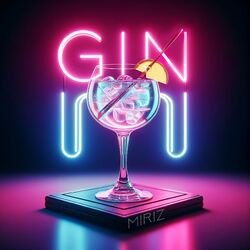 Cover of Gin