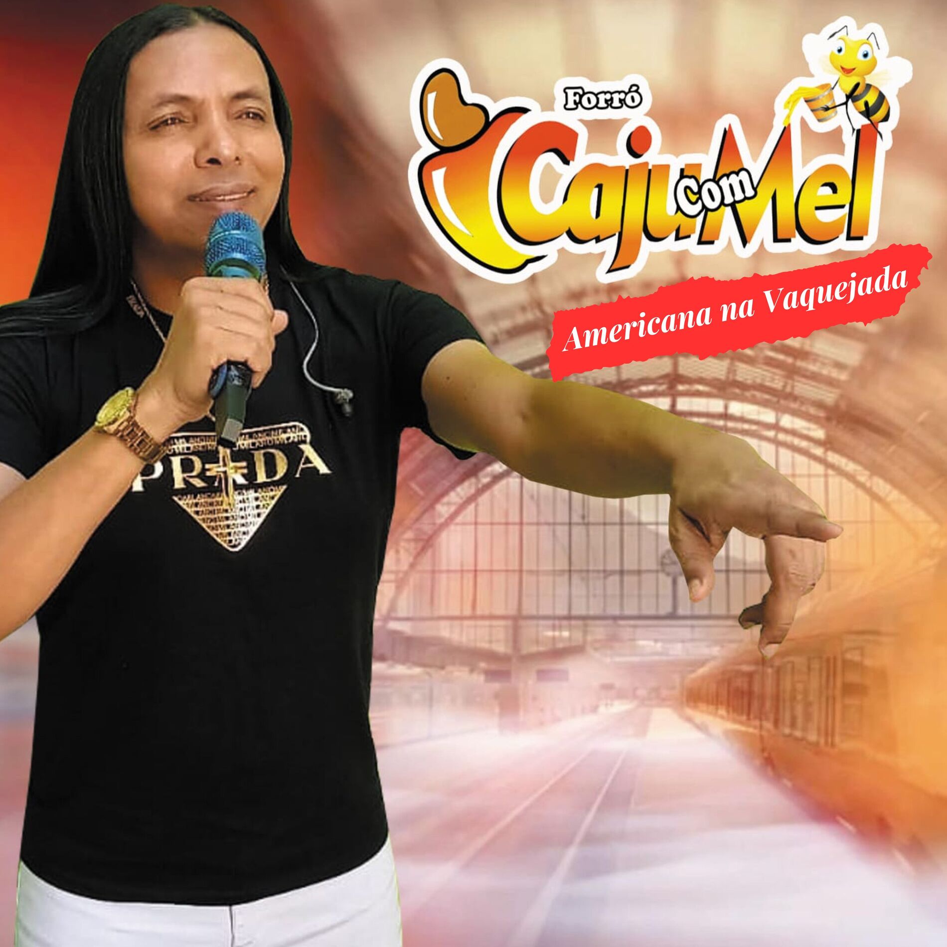 Album cover of Americana na Vaquejada