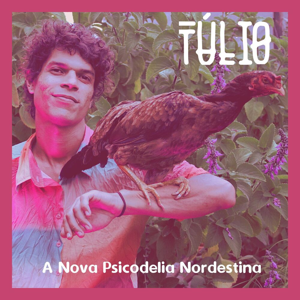 Picture of A Nova Psicodelia Nordestina