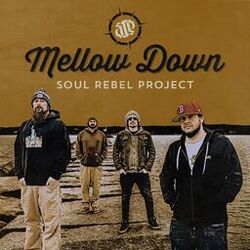 Cover of Mellow Down