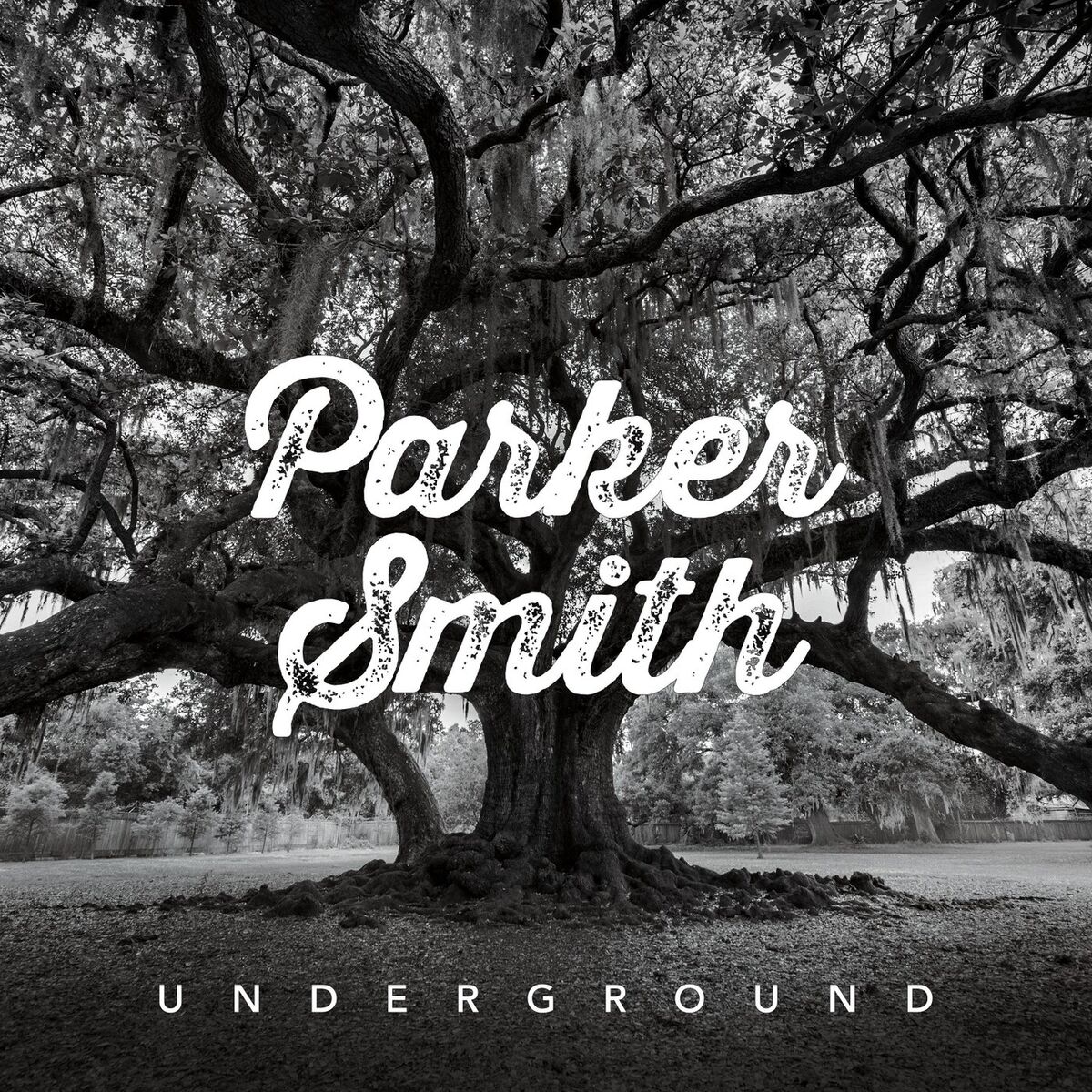 Album cover of Underground