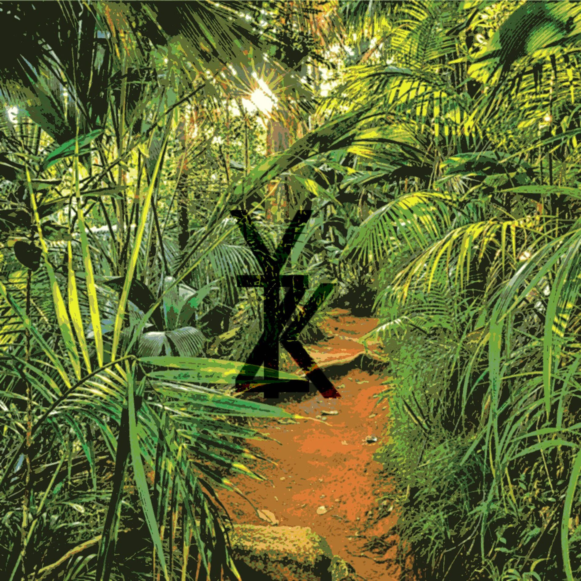 Album cover of Jungle